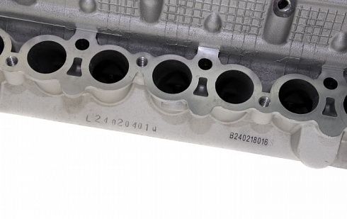 Головка цилиндров ДВС 405,409 ЕВРО-3 TANAKI TKG-1003007-65