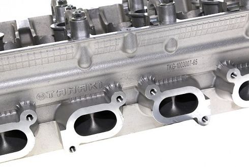 Головка цилиндров ДВС 405,409 ЕВРО-3 TANAKI TKG-1003007-65